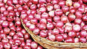 High Grade Fresh Red Onion