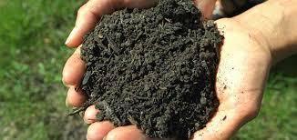 Quality Checked Natural Fertilizer
