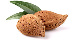 High Grade Natural Almond Nuts Origin: Usa