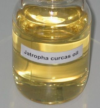Pure Jatropha Curcas Oil
