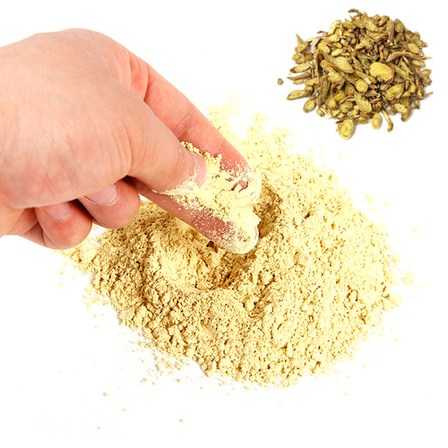 Ginkgo Skullcap Extract Powder
