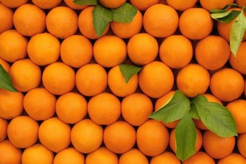 Fresh Sweet Naval Orange