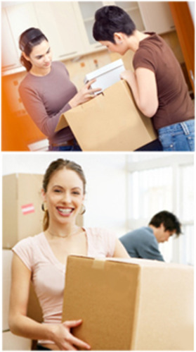 Home Relocation Service By Balaji Cargo Packers And Movers India Private Limited
