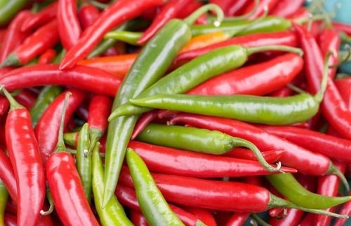 Red and Green Chilli