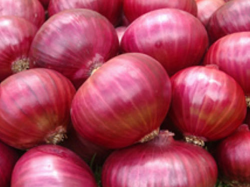 Fresh and Healthy Red Onion - Grade A, Size 5-5.5 CM, Red Color | Non Glutinous, Preserved Vegetables, Export Quality