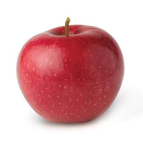 Fresh Organic Red Apple