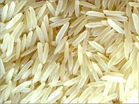 Fresh White Raw Rice