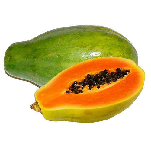 Green High Quality Fresh Papaya