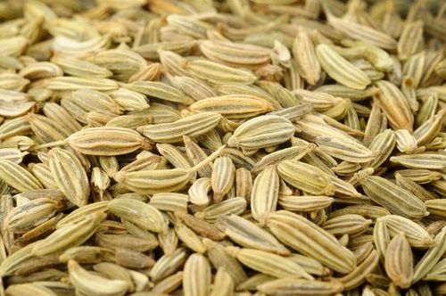 Low Price Fennel Seeds