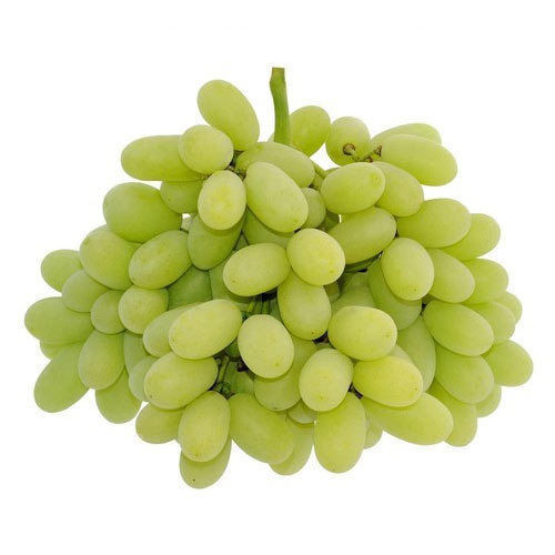 Nutritious Fresh Green Grapes