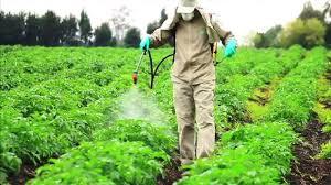 Agro Chemicals And Pesticides