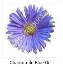 Powder Chamomile Blue Oil