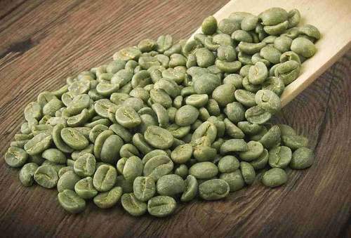 Optimum Quality Green Coffee Beans