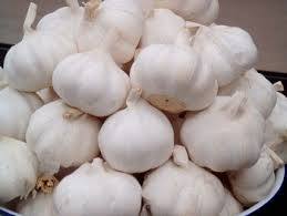 Fresh And Hygienic White Garlic
