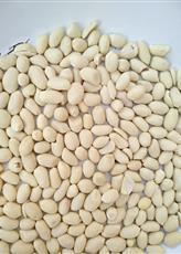 White Machine Clean Indian Peanuts (Blanched)