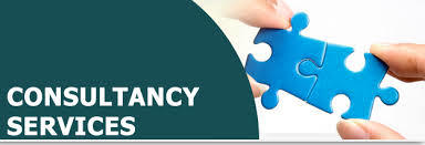 Consultancy Service For Business Development