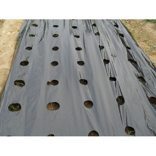 Durable Biodegradable Mulch Film