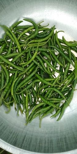 Export Quality G4 Green Chillies