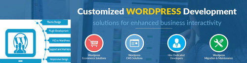 WordPress Development Solutions - Expert Outsourcing Services SEO Management & Custom Content Solutions