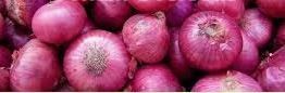 Naturally Fresh Red Onion