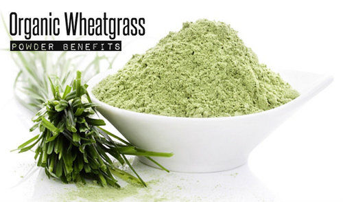 Ayurvedic Product Organic Wheatgrass Powder