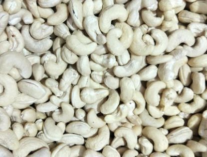 High Grade Finished Cashew Nuts