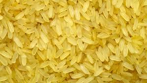 Medium Grain Golden Rice