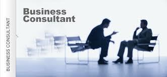 High Performance Business Consultant