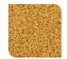 Common Medium Grain Cargo Rice