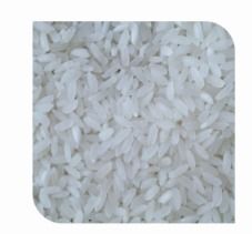 Organic Medium Grain White Rice