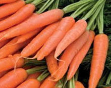  ताजा और जैविक लाल गाजर