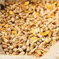 Poultry Feed Grains