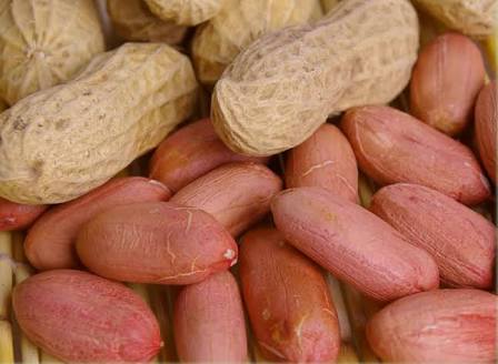 High Grade Peanuts Kernel