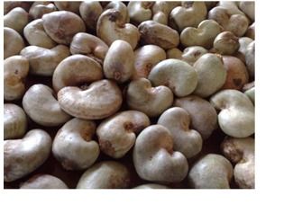 White Nutritional Raw Cashew Nuts