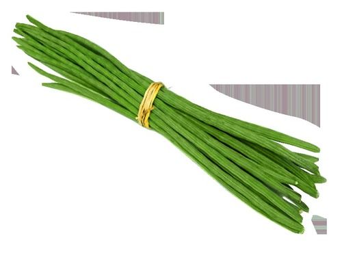 Green Fresh Drumstick