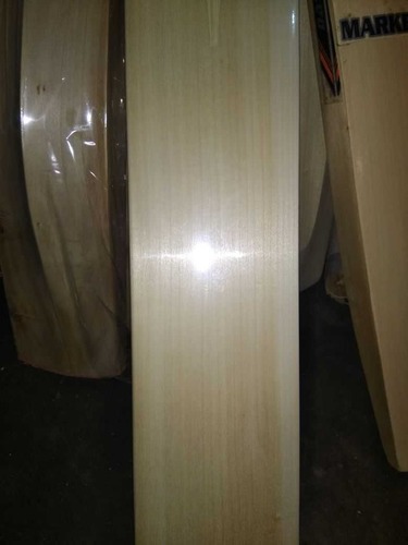 High Quality Kashmir Willow Bat