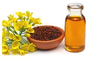 Highly Nutrition Mustard Oil