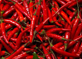 Highly Aromatic Red Chilli