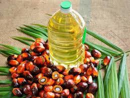 Low Price and Fresh Palm Oil