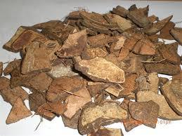 High Grade Coconut Shell Chips