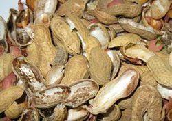 High Grade Groundnut Shell