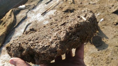 Organic Cow Dung Cake