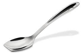 Stainless Steel Service Spoon