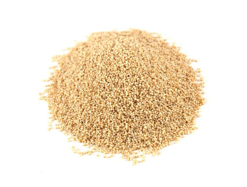 Fine Grade Poppy Seeds