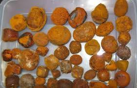 Ox Gallstones 80/20 Cow/Ox/Cattle Gallstones