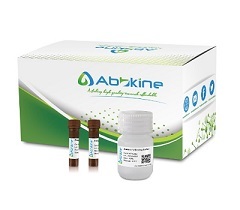 Annexin V-AbFluor 405 Apoptosis Detection Kit