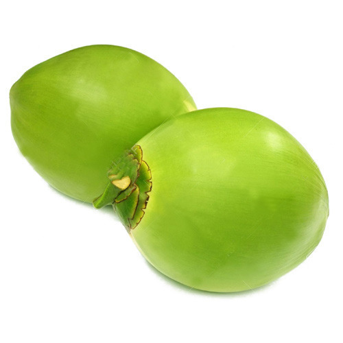 Fresh Green Coconut - High Quality, Naturally Refreshing Hydration, Exquisite Flavor