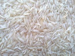 Fresh 1121 White Rice