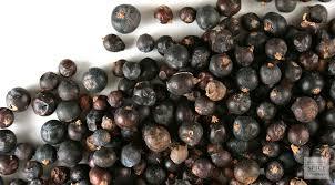 High Quality Juniper Berries