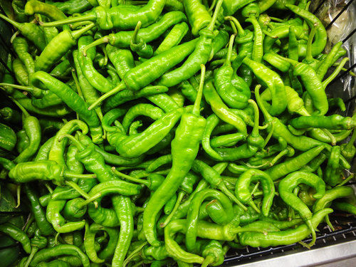Fresh Green Chilli Vegetable at Best Price in Solapur | Soorti Jhadav